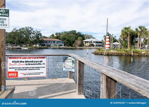 Monkey Island, Homosassa Florida Editorial Photography - Image of coast ...