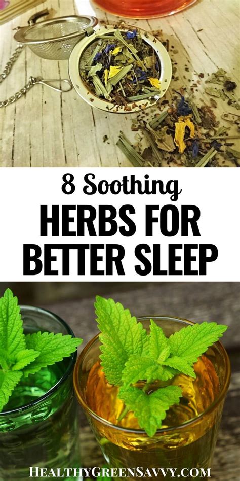 8 Best Herbs for Sleep to Help You Sleep Better Tonight