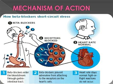 Pin by Jim Conner on Beta Blockers | Beta blockers, Pharmacology ...