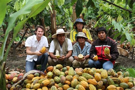 Support Your Local Cacao Farmer – Dancing Lion Chocolate