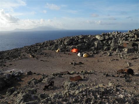 Plotting A Future For The Wildlife Of Redonda Island - Global Wildlife ...