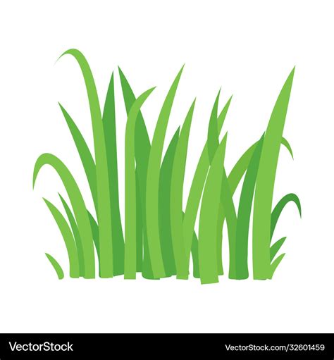 Grass cartoon texture field shape Royalty Free Vector Image