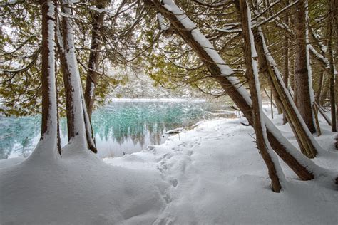 Michigan Nut Photography | Winter in Michigan