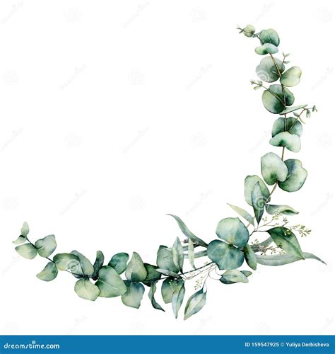 Watercolor Eucalyptus Border. Hand Painted Eucalyptus Branch and Leaves ...