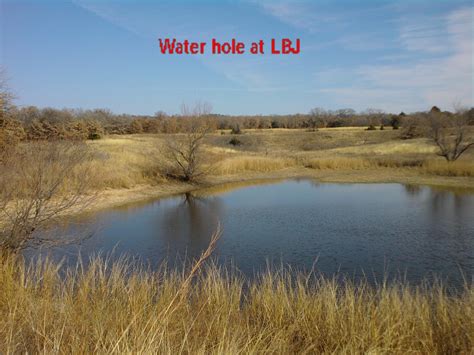 Texas Rubs and Scrape Lines: Hunting at the LBJ Grasslands