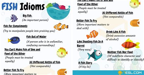 FISH Idioms: 18 Useful Fish Idioms and Phrases • 7ESL