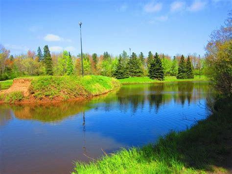 Moncton Tourism and Holidays: Best of Moncton, Canada - Tripadvisor