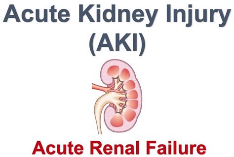 Acute kidney injury, causes, symptoms, diagnosis, treatment & prognosis