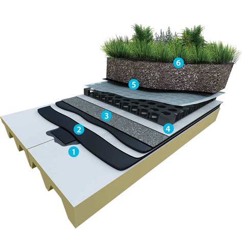 Extensive Green Roof System - Asphaltech