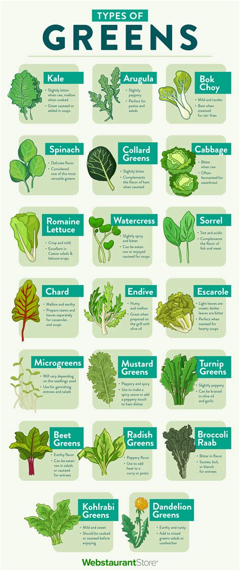 20 Types of Greens to Spruce Up Your Meals | WebstaurantStore