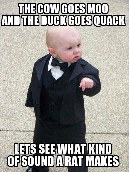 Boss baby | Funny babies, Baby memes, Funny pictures