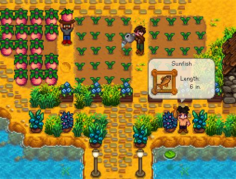 Arqueólogo dedo indicador Merchandising stardew valley coop switch ...