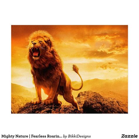 Mighty Nature | Fearless Roaring Lion at Sunset Postcard | Zazzle.com ...