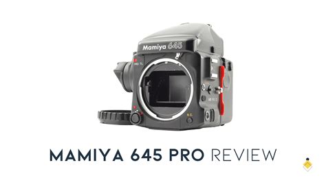 Mamiya 645 Pro Review: My Experience with this Legendary Camera