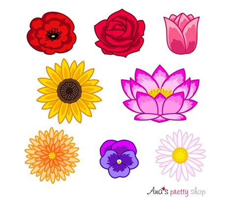 Flowers Clip Art, Flowers Clipart, Colorful Flowers, Flower Heads ...