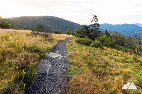 Roan Mountain hiking: Roan Highlands and Appalachian Trail