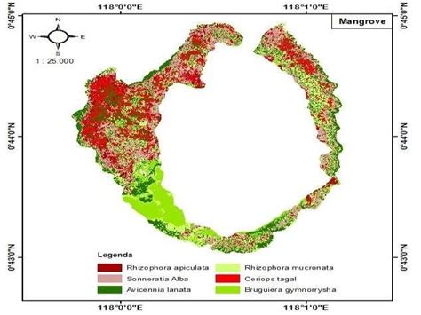 Distribution of mangrove species | Download Scientific Diagram