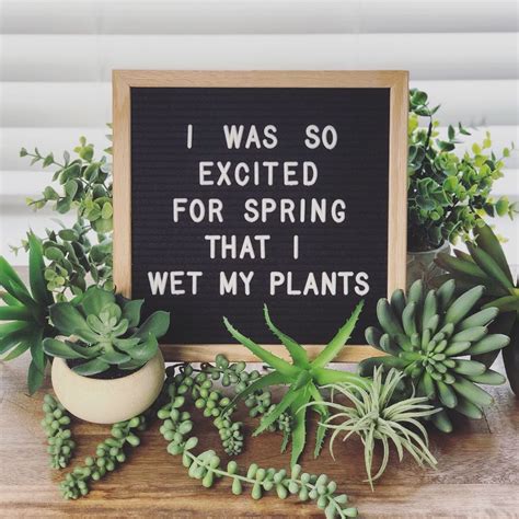 Spring Pun Letterboard | Message board quotes, Spring quotes, Plant puns