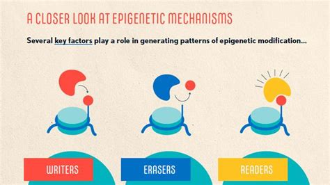 Cancer Epigenetics | Technology Networks