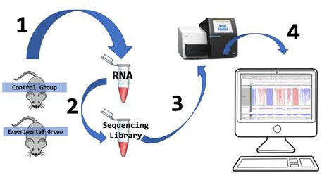 Intro to RNA-Seq — RNA-Seq analysis of Mouse Leptin Gene 1.0 documentation