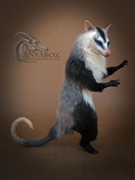 White Eared Opossum Room Guardian by AnyaBoz on DeviantArt