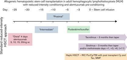 Favorable outcomes following allogeneic transplantation in adults wi