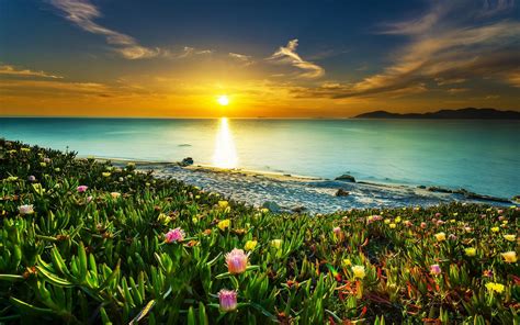 Sunset, Sea, Landscape, Flowers, Coast, Beach, Beautiful wallpaper ...