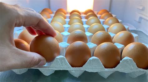 Shelf Life Of Eggs: Everything You Should Know - HealthKart