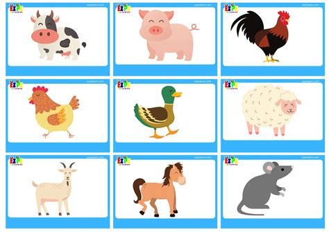 Farm Animals Flashcards No Words View online or free PDF download ...