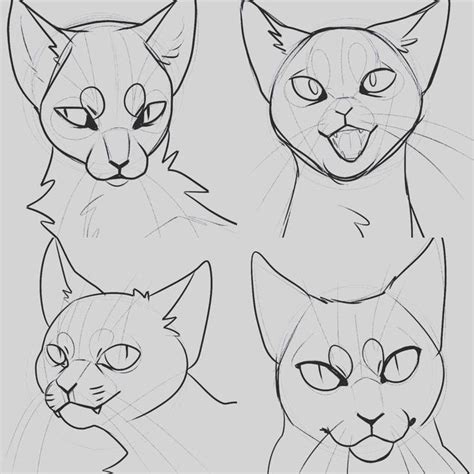 Pin by 𐀼 𝔊𝔦𝔤𝔦 𐁑 on reference | Cat face drawing, Cat drawing tutorial ...