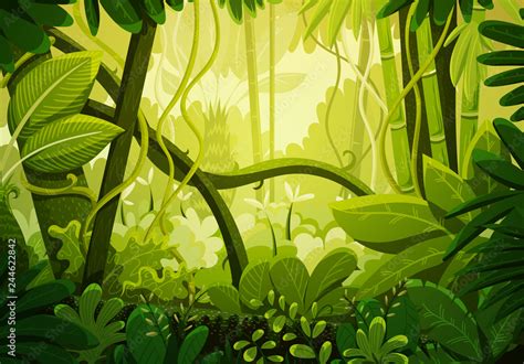 Vector illustration of tropical jungle background. Rainforest with ...