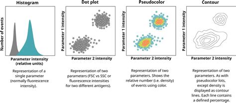 Data analysis in flow cytometry | abcam