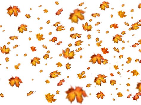 Fall Leaves Png Overlay For Photoshop (Nature-Grass-And-Foliage ...