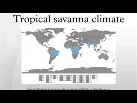 Tropical savanna climate - YouTube