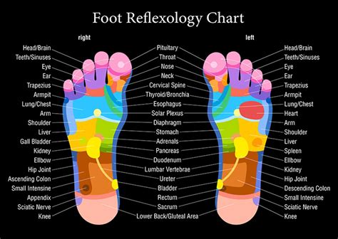 Pin on Reflexology