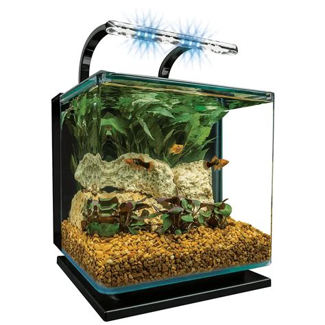 10 Best Small Saltwater Fish Tanks - aquariumdimensions