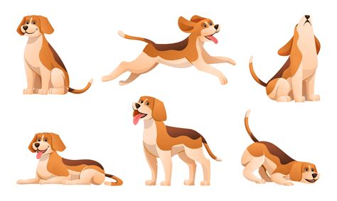 Set of beagle dog in various poses cartoon 7516751 Vector Art at Vecteezy