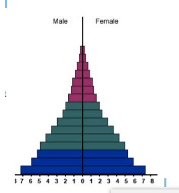 Solved This age structure diagram shows you the age | Chegg.com