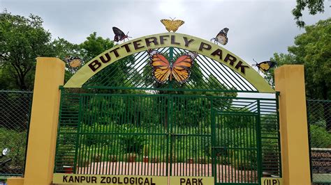 kanpur zoo butterfly park