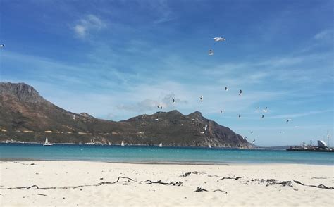 Hout Bay Beach - All You Need to Know BEFORE You Go (2024)