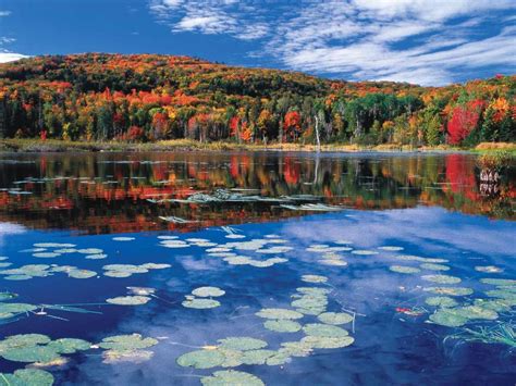 Every fall, the Québec City Area comes alive in an amazing blaze of ...