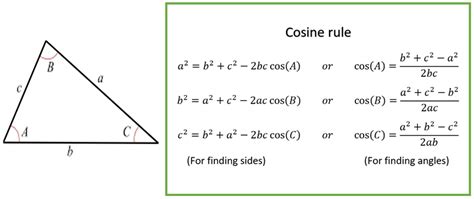 Sine and cosine rule | Shalom Education