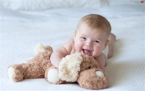 Baby Boy Playing With Toy HD Wallpaper | Cute Little Babies