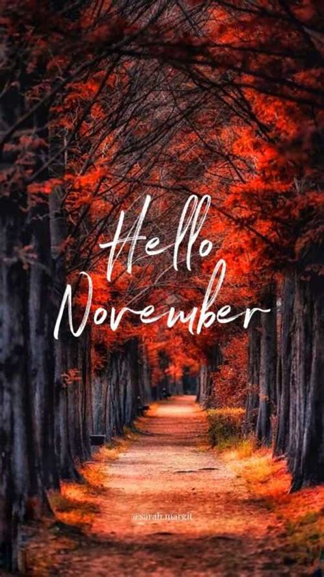 Hello November Wallpaper - iXpap