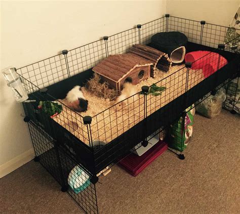 Gallery - C&C Guinea Pig Cages - Mesh and Grid Cages for Pets