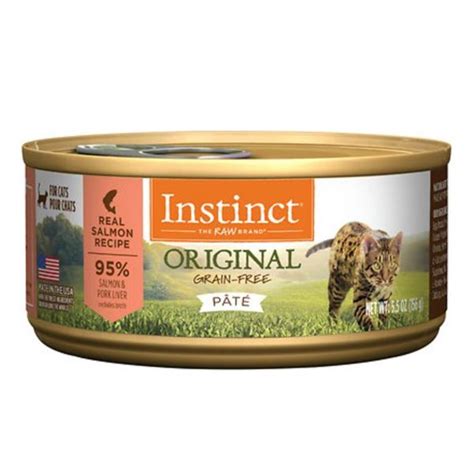 Best Wet Cat Food Brands | tunersread.com