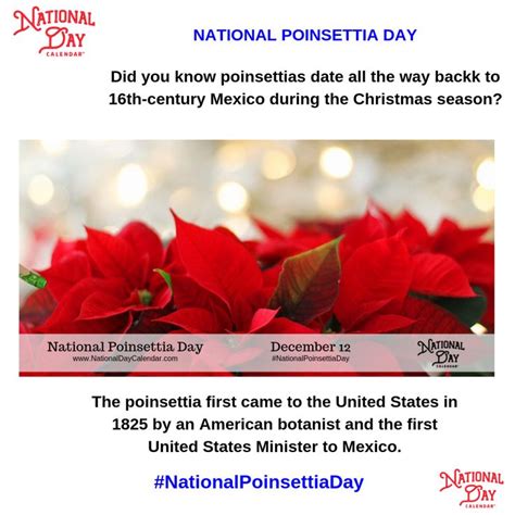 NATIONAL POINSETTIA DAY - December 12 | Poinsettia, December 12, December