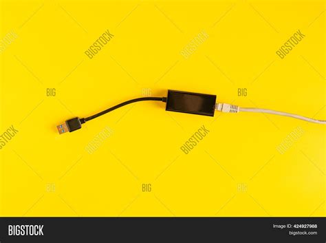 Ethernet Lan Card Wire Image & Photo (Free Trial) | Bigstock