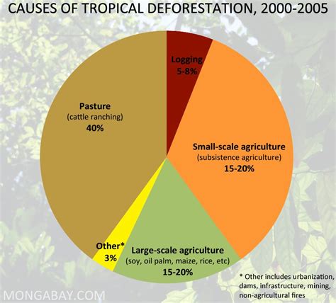 Deforestation in Madagascar