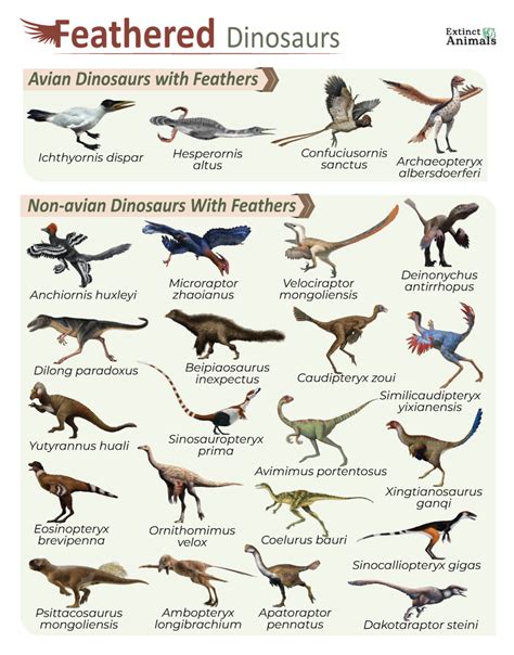 Feathered Dinosaurs – Facts, List, Pictures